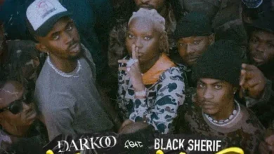 Darkoo ft. Black Sherif - Always