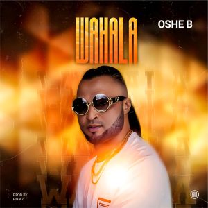 Oshe B – Wahala