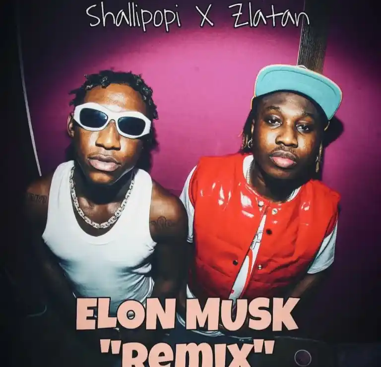 Shallipopi – Elon Musk (Remix) ft Zlatan