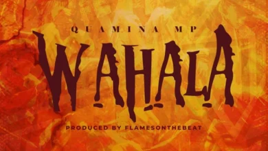 Quamina Mp – Wahala