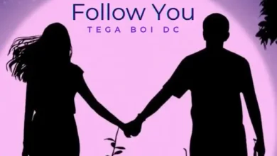 Tega Boi dc – Follow You (Speed Up)