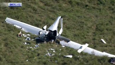 Deadly Texas plane crash: Single-engine aircraft goes down near Soaring Club of Houston in Waller County, killing pilot
