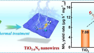 Surface defect engineering of nanowire arrays towards efficient nitrogen reduction for ammonia synthesis