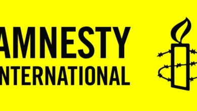 Investigate rampant killings in South-East – Intersociety tells UN, Amnesty International
