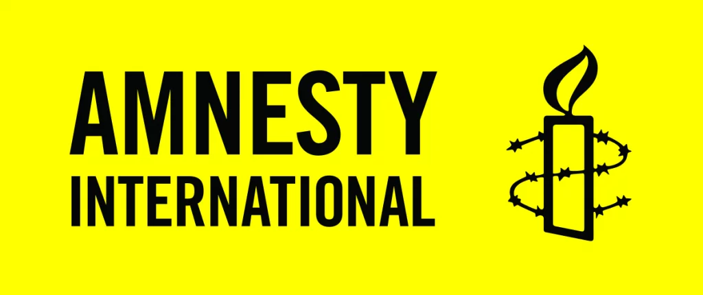 Investigate rampant killings in South-East – Intersociety tells UN, Amnesty International