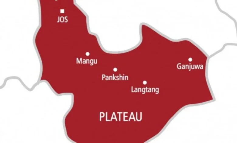 Plateau incessant killings: Youths call for self defense