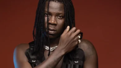 Burna Boy not new cat – Ghanaian singer, Stonebwoy disagrees with Davido