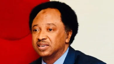 Ex-Service Chiefs rewarded with SUVs after leaving us with bandits – Shehu Sani