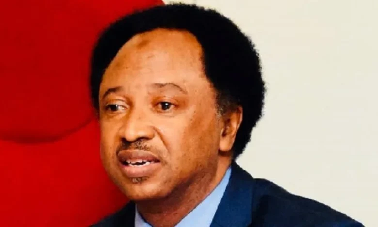 Ex-Service Chiefs rewarded with SUVs after leaving us with bandits – Shehu Sani