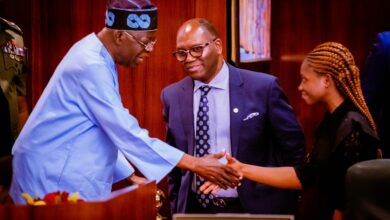 Tinubu appoints UI 400-level student into Tax Reforms Committee